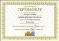 "Мерсибо", вебинар "Начальные этапы обучения чтению детей с ОВЗ с применением интерактивных и настольных игр", май 2018г. "Мерсибо", вебинар "Начальные этапы обучения чтению детей с ОВЗ с применением интерактивных и настольных игр", май 2018г.